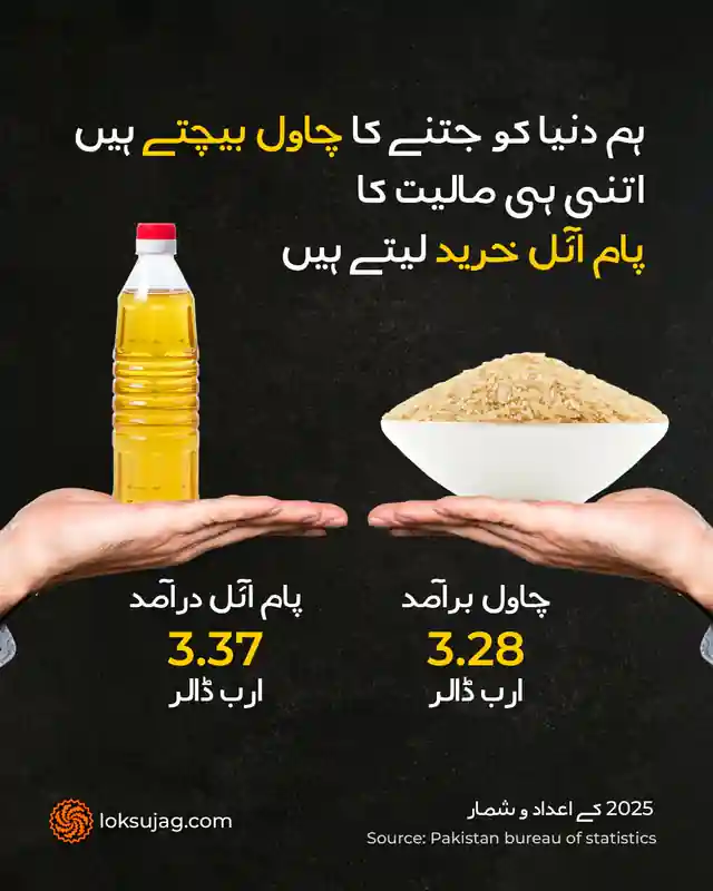 پاکستانی کسان تیل دار اجناس کیوں کاشت نہیں کرتے؟