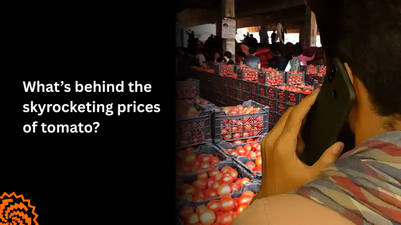 What’s Behind the Skyrocketing Prices of Tomatoes?